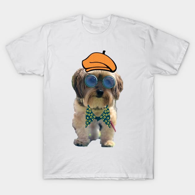 Koda a refined old dawg T-Shirt by Walters Mom